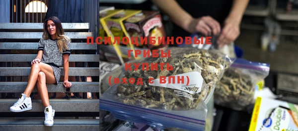 СК Надым