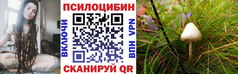 закладка  kraken рабочий сайт  Галлюциногенные грибы прущие грибы  Красноуральск 